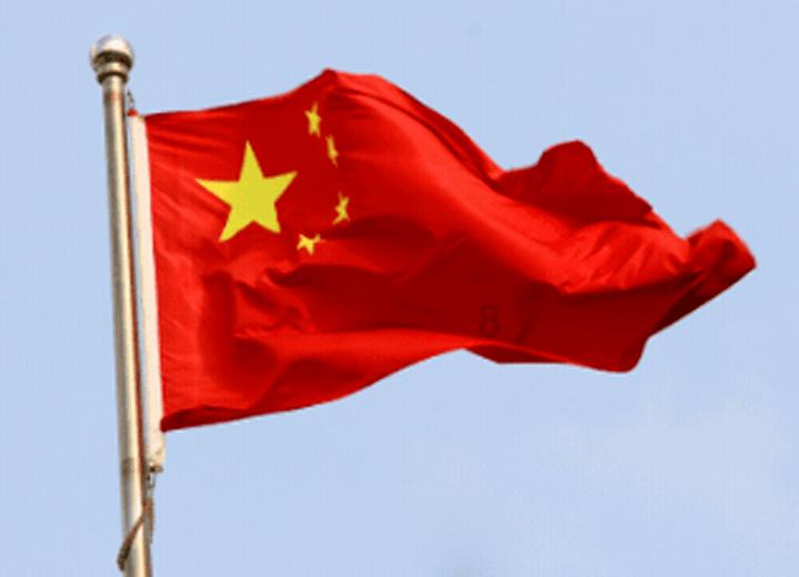 植物大战僵尸17