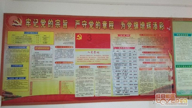 照顾小兔宝宝
